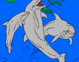 Disegno Delfini che giocano  pitturato su alice