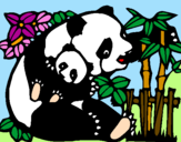 Disegno Mamma panda  pitturato su Luce