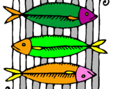 Disegno Pesce pitturato su FRANCESCO