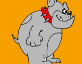 Disegno Bulldog inglese  pitturato su shara