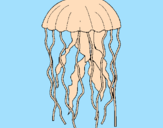 Disegno Medusa  pitturato su federica moccia