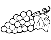 Disegno grappolo  pitturato su uva