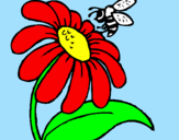 Disegno Margherita con ape  pitturato su yessica