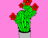 Disegno Fiori di cactus  pitturato su sara