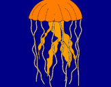 Disegno Medusa  pitturato su Dario