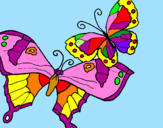 Disegno Farfalle pitturato su tamara