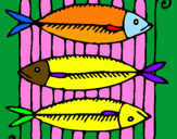 Disegno Pesce pitturato su marta