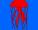 Disegno Medusa  pitturato su Raffaele