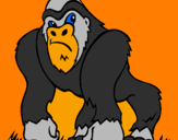 Disegno Gorilla pitturato su cipo belotti