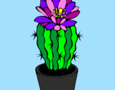 Disegno Cactus fiorito  pitturato su fiby