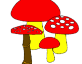 Disegno Funghi pitturato su luciano