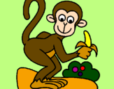 Disegno Scimmietta  pitturato su Gloria