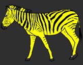Disegno Zebra  pitturato su martin
