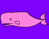 Disegno Balena blu pitturato su agata