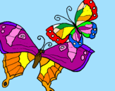 Disegno Farfalle pitturato su rebecca andretta
