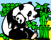 Disegno Mamma panda  pitturato su demi