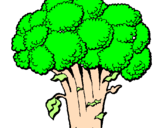 Disegno Broccoli  pitturato su elsa