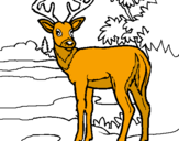 Disegno Giovane cervo pitturato su nanà