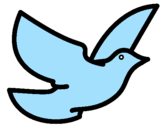 Disegno Colomba della pace  pitturato su colomba