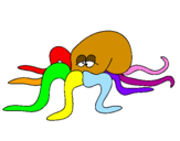 Disegno Polipo pitturato su octopus