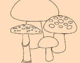 Disegno Funghi pitturato su francesco