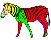 Disegno Zebra  pitturato su giulia villa