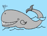 Disegno Balena  pitturato su federico