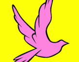 Disegno Colomba della pace in volo pitturato su dario 2005