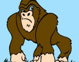 Disegno Gorilla pitturato su babbu