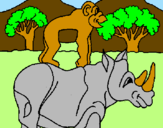 Disegno Rinoceronte e scimmietta  pitturato su emmachiara
