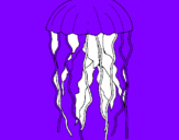 Disegno Medusa  pitturato su francesco