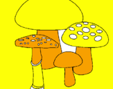 Disegno Funghi pitturato su funghii