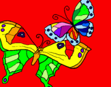 Disegno Farfalle pitturato su melissa