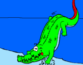 Disegno Alligatore che entra nell'acqua  pitturato su    antonio