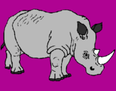 Disegno Rinoceronte  pitturato su DAIANA