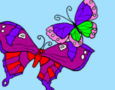 Disegno Farfalle pitturato su Luna Rossana