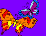 Disegno Farfalle pitturato su isabel
