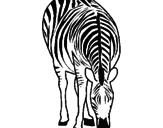 Disegno Zebra  pitturato su alberto