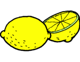 Disegno limone  pitturato su s