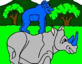 Disegno Rinoceronte e scimmietta  pitturato su mattia g