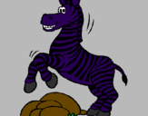 Disegno Zebra che salta sulle pietre  pitturato su margarita