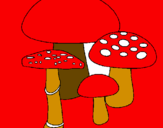 Disegno Funghi pitturato su elisabetta