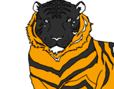 Disegno Tigre pitturato su  alice