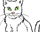 Disegno Gatto  pitturato su kevin  di  cossato