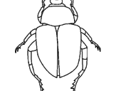 Disegno Scarabeo  pitturato su scarafaggio