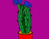 Disegno Cactus fioriti pitturato su ppp