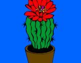 Disegno Cactus fiorito  pitturato su kiki