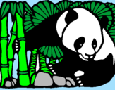 Disegno Orso panda con bambù  pitturato su kiki9c