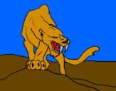 Disegno Tigre con affilati canini  pitturato su NICOLò