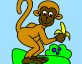 Disegno Scimmietta  pitturato su elena